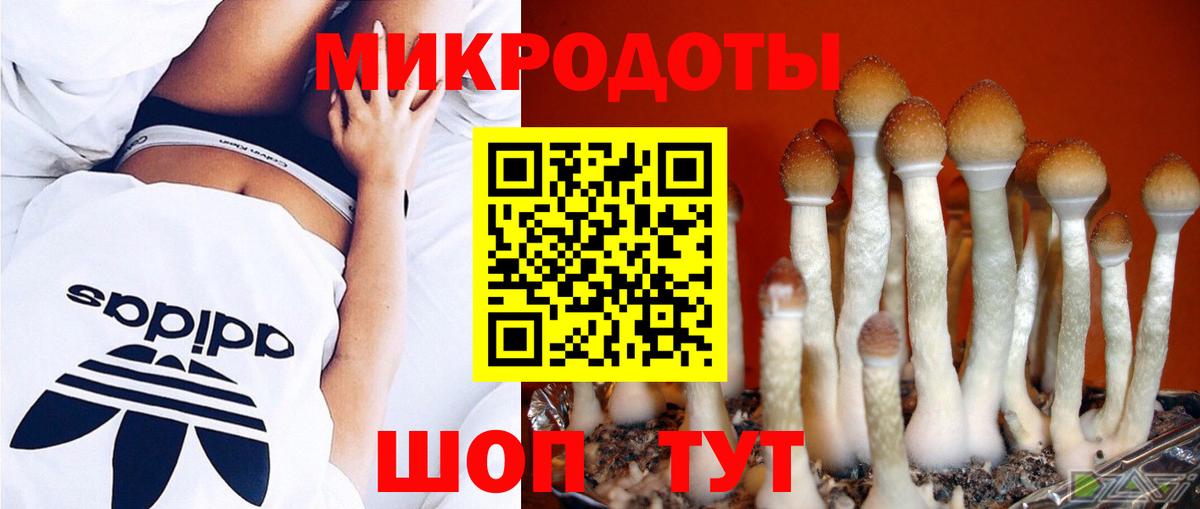 Галлюциногенные грибы мухоморы  Вход с VPN  Псилоцибиновые грибы мицелий  Кыштым 